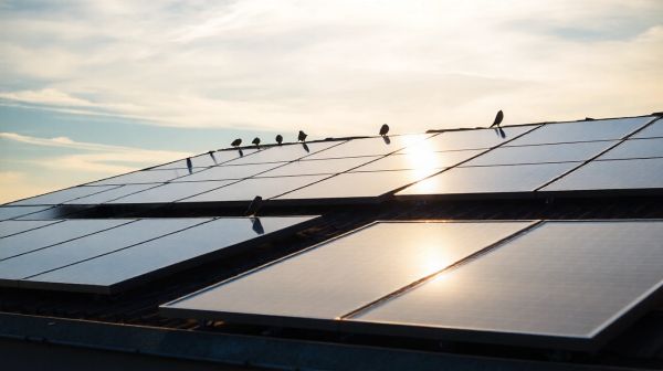 Autonomie énergétique : top solutions avec panneaux solaires photovoltaïques